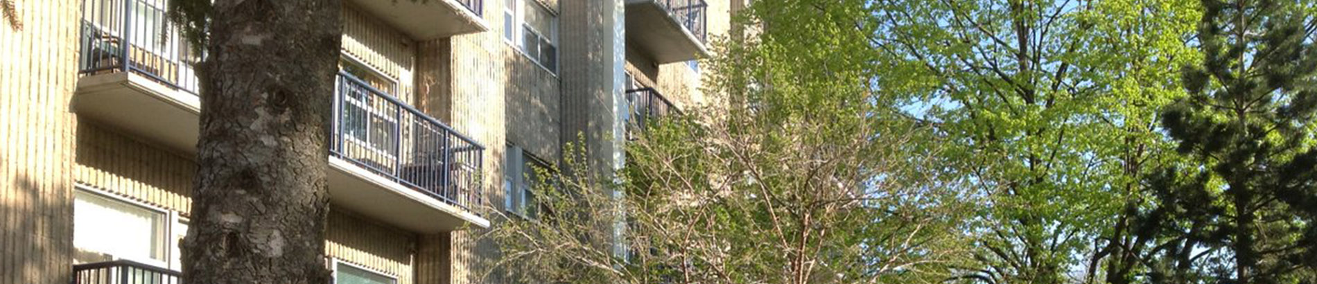 apartment building with balconies set behind trees