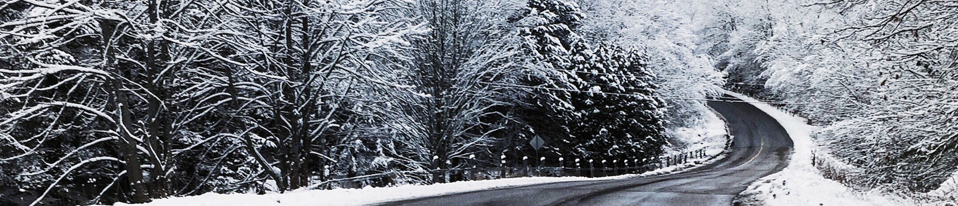 Road in winter