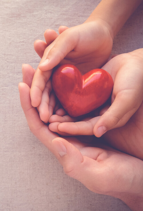 Two pairs of hands holding a red heart