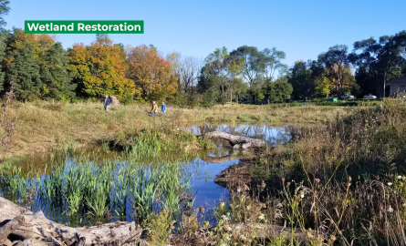 Wetland restoration project