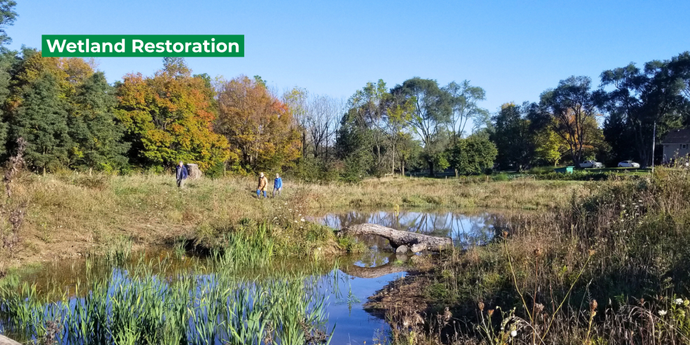 Wetland restoration project
