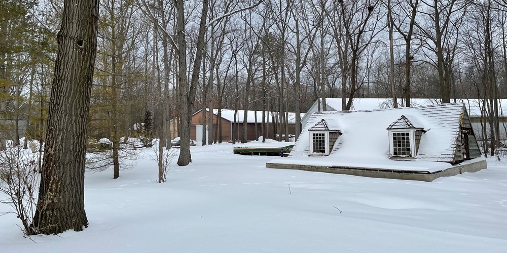 Roof of Canatara Cabin in the wooded area behind Lambton Heritage Museum