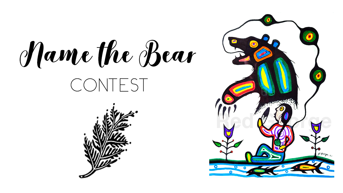 Name the Bear contest promotional image featuring artwork by Jeffrey 