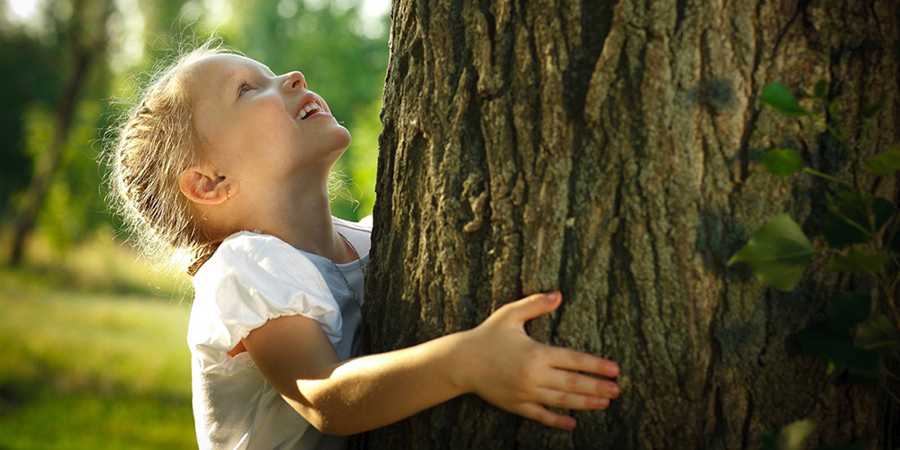 Little girl holding a tree trunk.