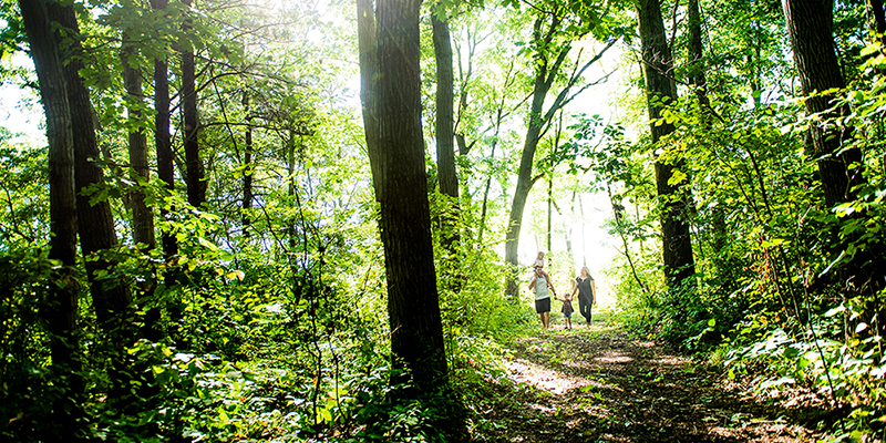 family of four walking on a trail thought a forest