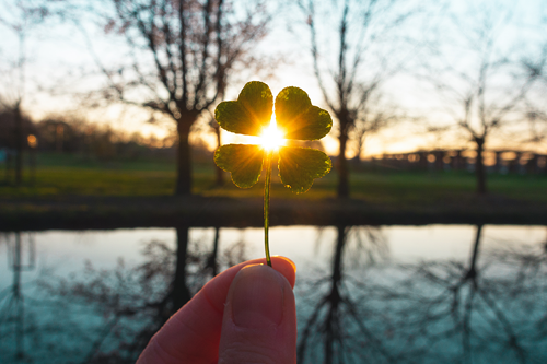 Hand holding shamrock in front of sun
