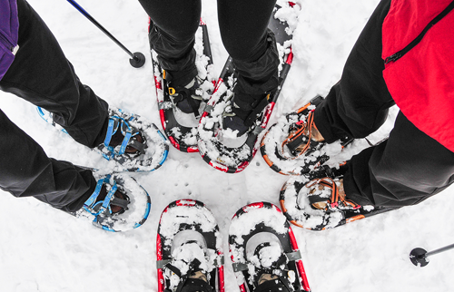Looking downwards on people standing in a circle wearing snowshoes