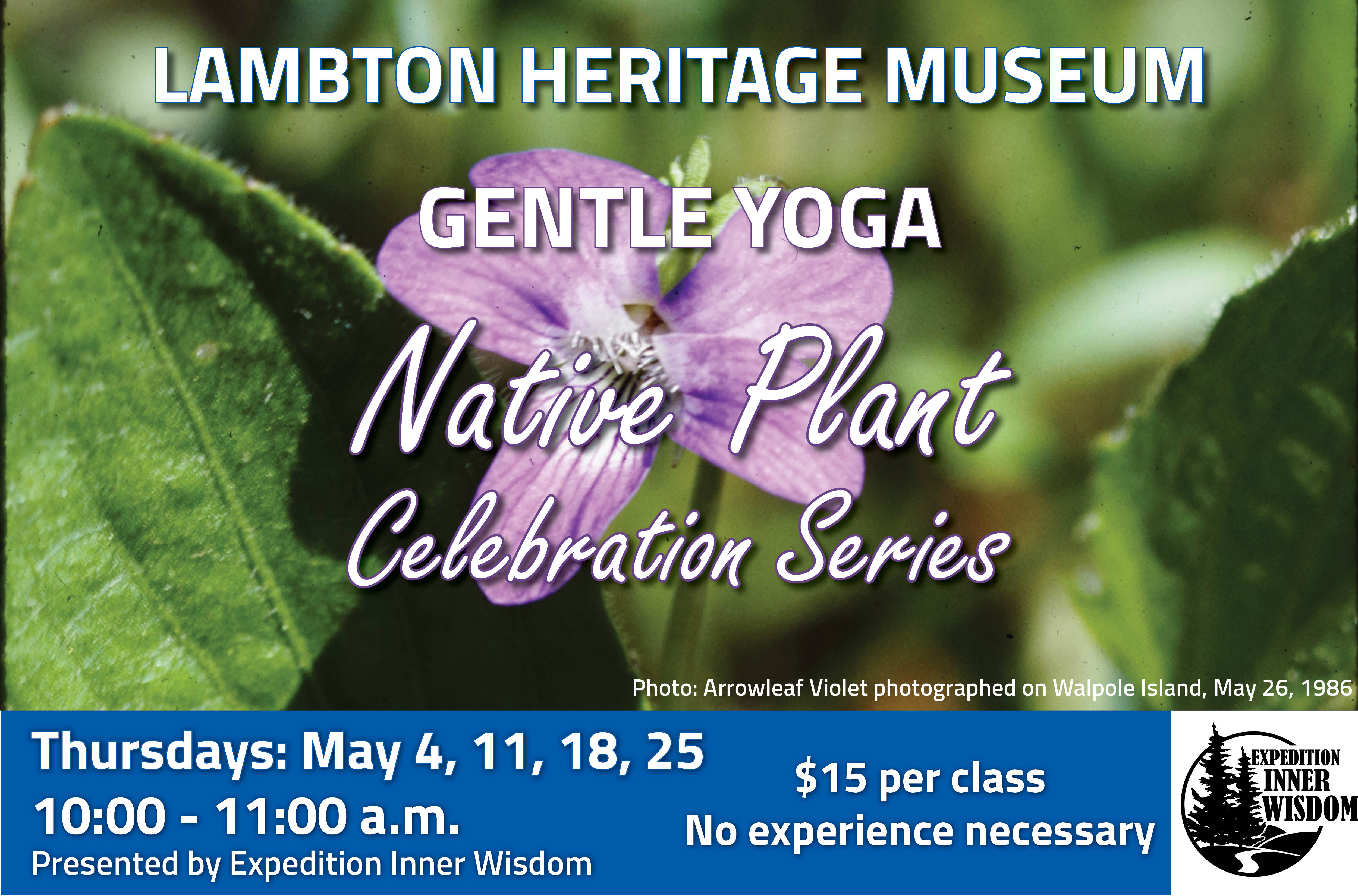 Yoga event details over top of an image of a flower