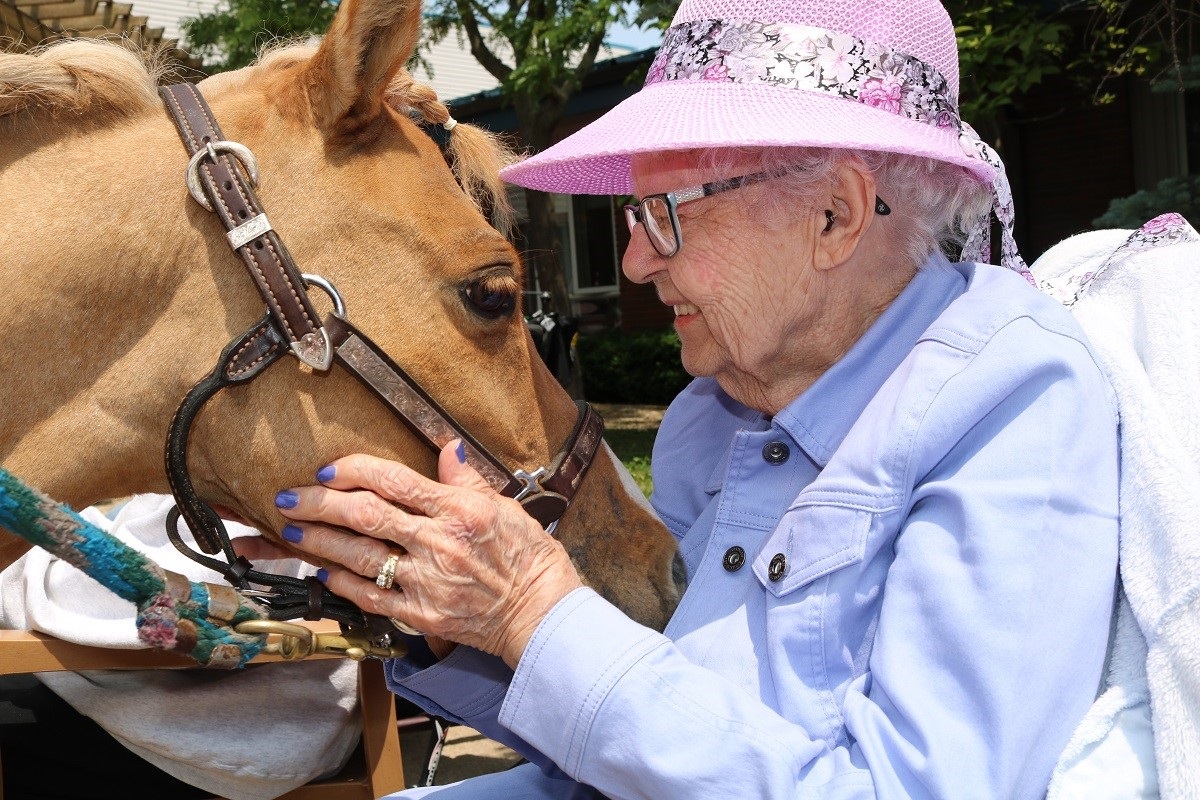 Butterbean the miniature therapy horse face to face with Ruth