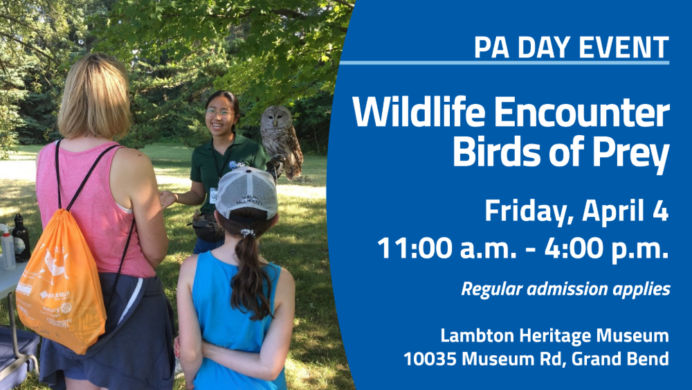 Program participants meet an owl, held by a handler