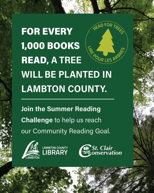 Summer Reading Challenge Promotional Image