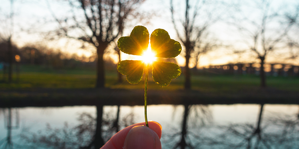 two fingers holding a green shamrock in front of the sun