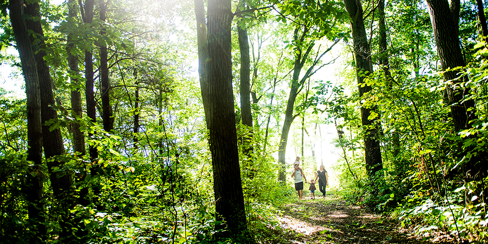 family walking on wooded trail