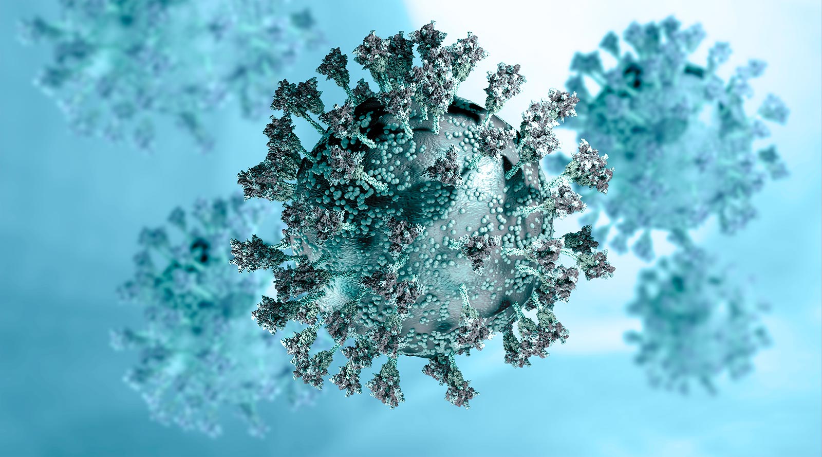 COVID-19 Virus