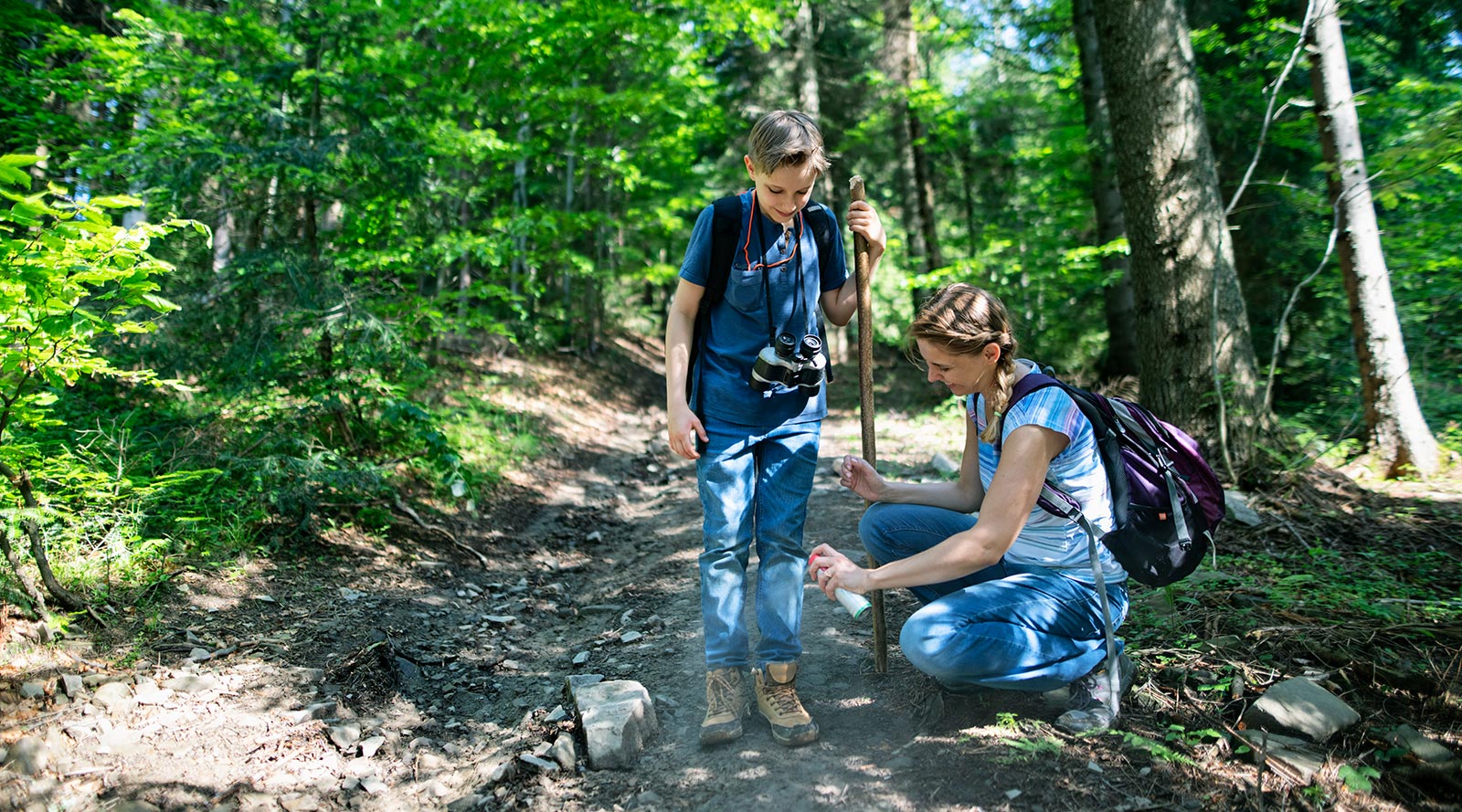 spray for ticks